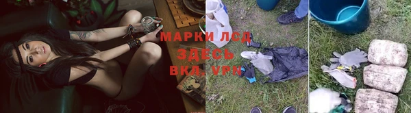 прущие грибы Арсеньев