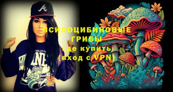 прущие грибы Арсеньев