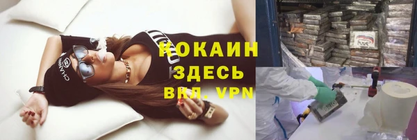 прущие грибы Арсеньев