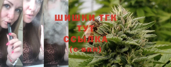 прущие грибы Арсеньев