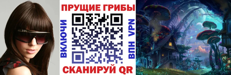 Галлюциногенные грибы Psilocybine cubensis Саров